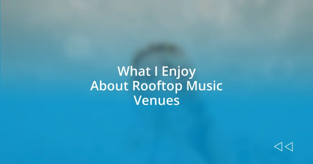 What I Enjoy About Rooftop Music Venues